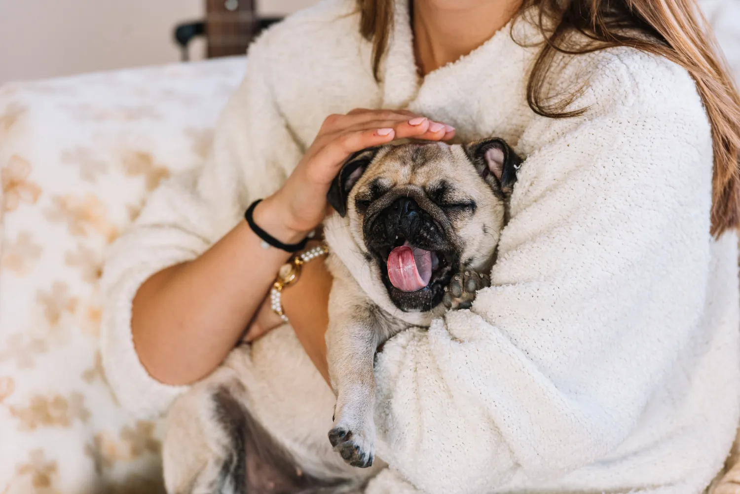Hoteles en Asturias que admiten perros Hoteles en Asturias que admiten perros